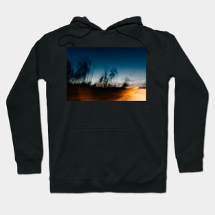 Blurry Trees at Dusk Hoodie